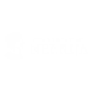 Universidad_Nebrija_logo